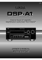 Yamaha DSPA-1 - Owners Manual 